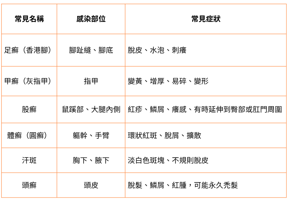 癢、紅、脫皮、反覆發作？台中皮膚科如何治療黴菌感染與過敏